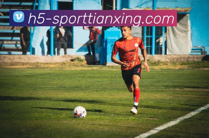 App Interface Preview